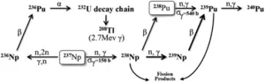 Nuclide transmutation path of in-reactor irradiation of 237Np