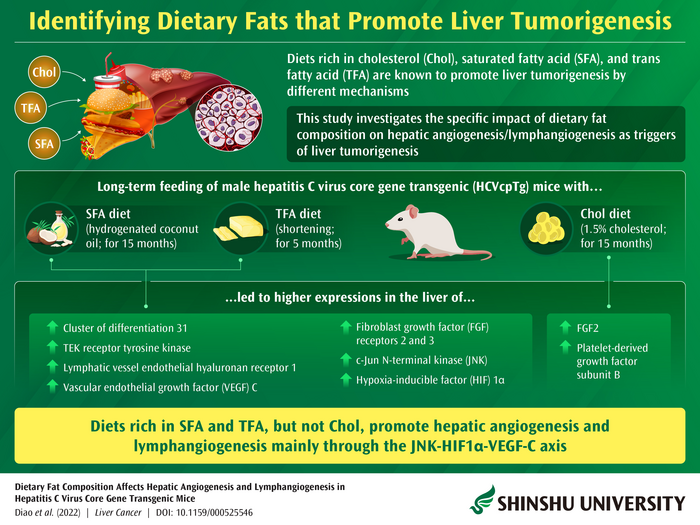 Identifying diets that promote liver tumorigenesis
