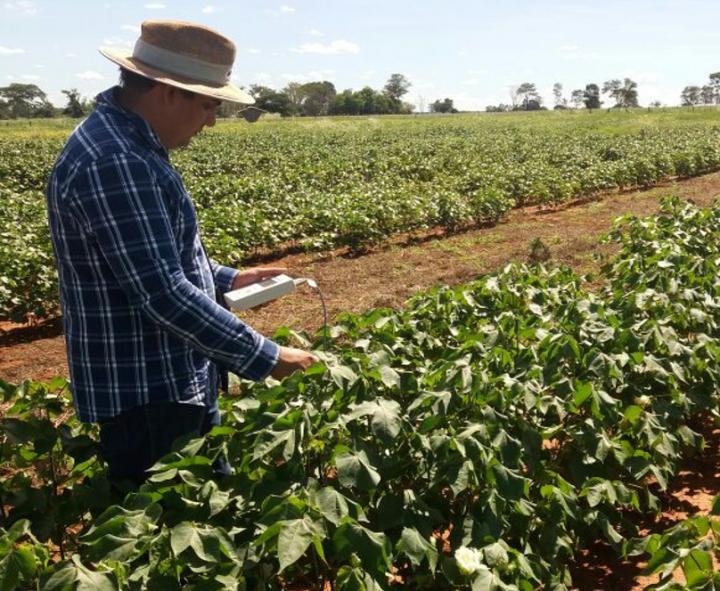 Cover Crops