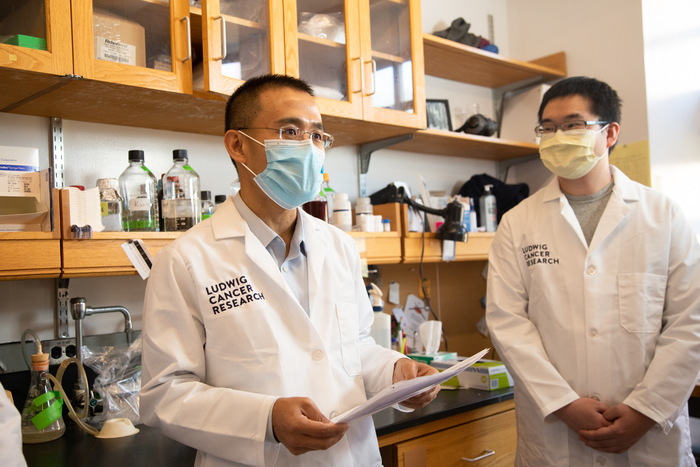 Yibin Kang and Minhong Shen