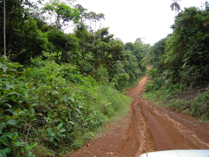 Sarapiqui, Costa Rica