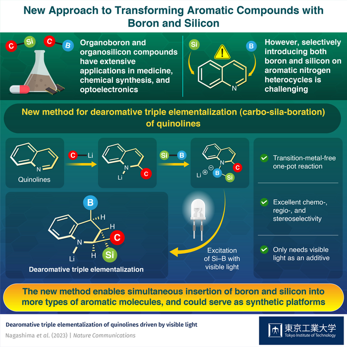 New Approach to Transforming Aromatic Compounds with Boron and Silicon