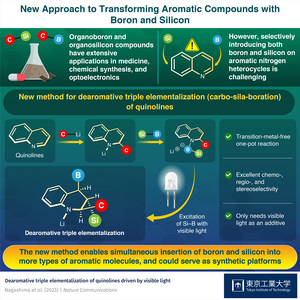 New Approach to Transforming Aromatic Compounds with Boron and Silicon