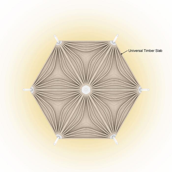 New, digital timber construction system that minimizes material consumption and the structural height of point-supported floor slabs.
