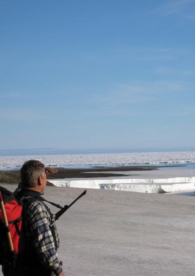 Sea Ice See-Saw in the Arctic (5 of 9)