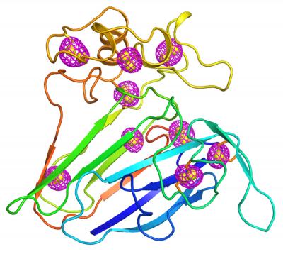Protein Structure Determined by Microcrystallography