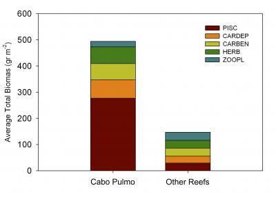 Average Fish Biomass