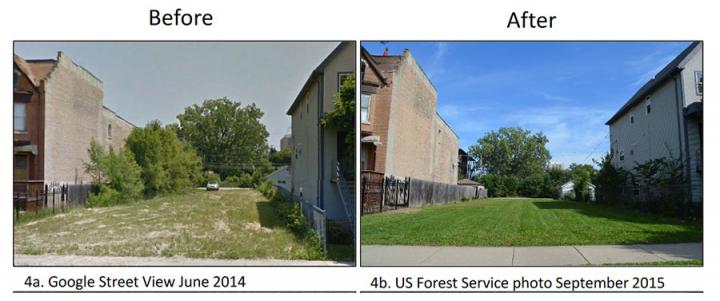 Study Underscores Power of Private Land Stewardship