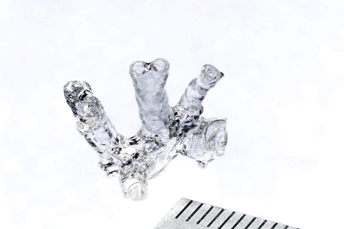 Mouse Pulmonary Artery Printed in Seconds