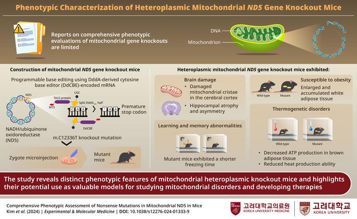 Loss of function mutation in the mitochondrial gene ND5 results in impaired cognitive and metabolism functions