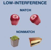 Low-Interference Photos