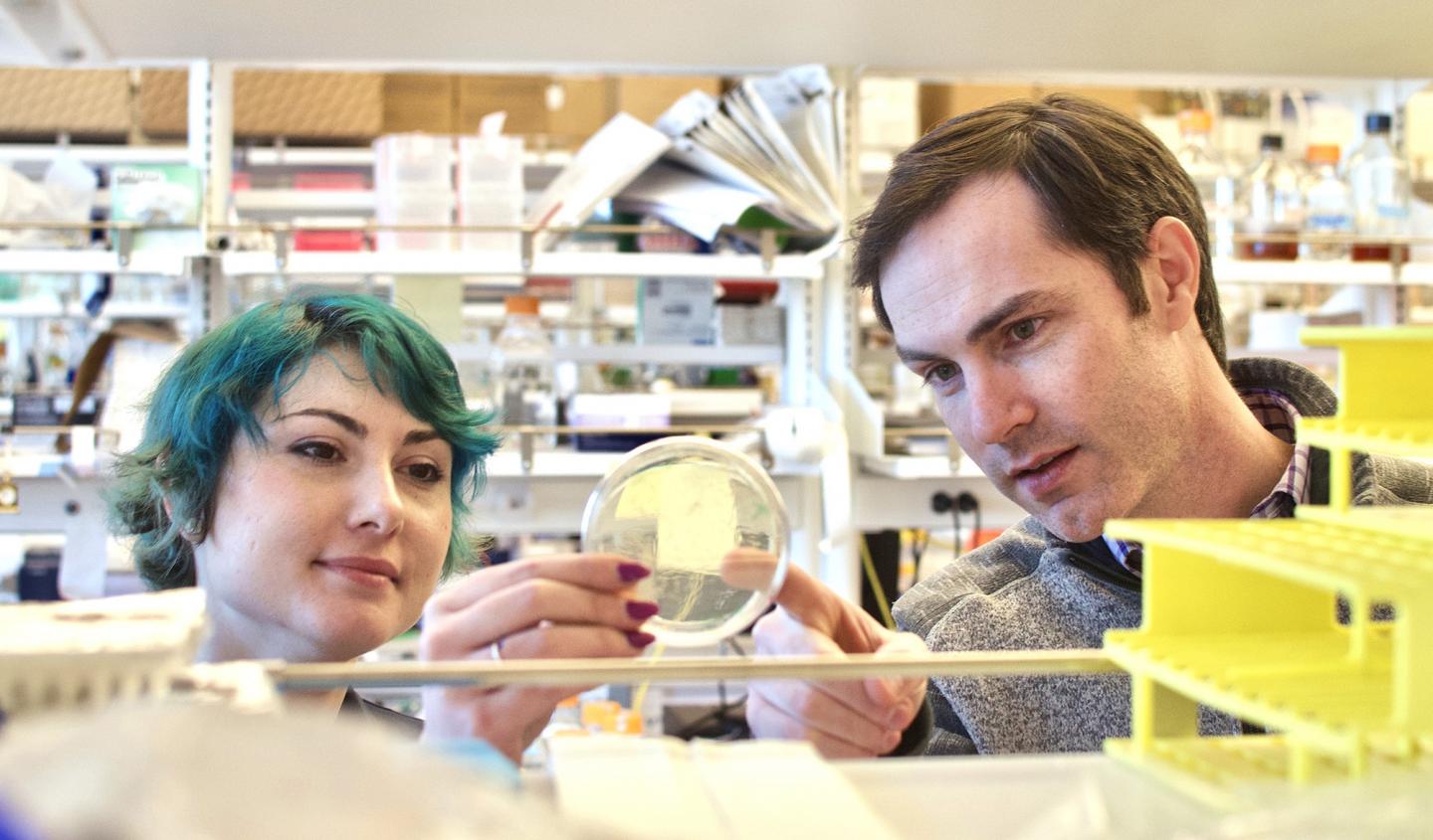 Nanoparticle Vaccine Research at UW Medicine