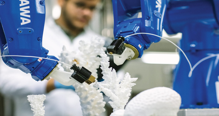 3D printing frames a restoration for coral