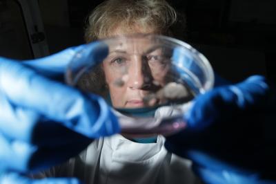 Anne Dickinson, Newcastle University