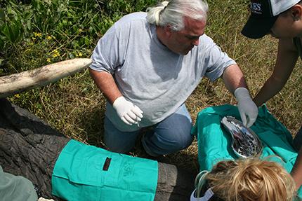 Paul Manger,  University of the Witwatersrand 