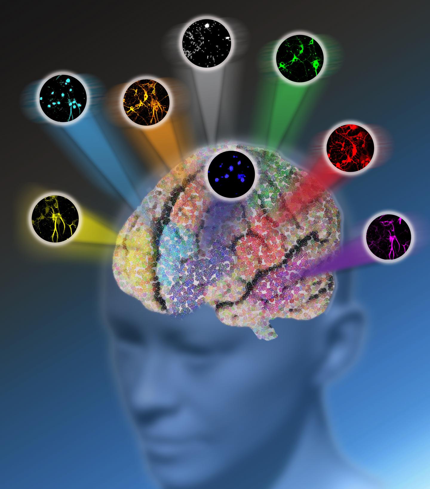 New Microscopy Method Breaks Color Barrier of Optical Imaging