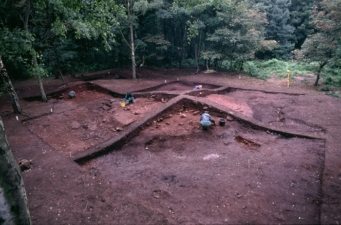 Excavations at Heath Wood (1).jpg