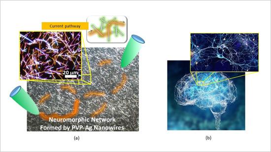 Neuromorphic Network