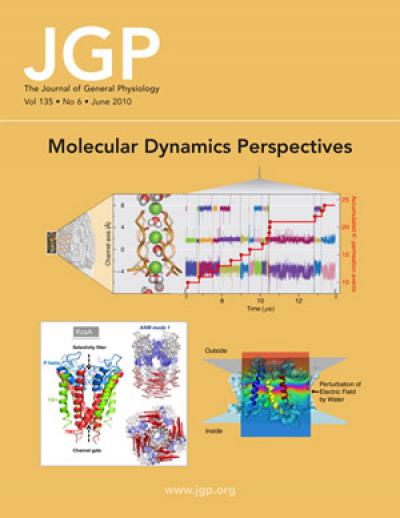 Molecular dynamics perspectives