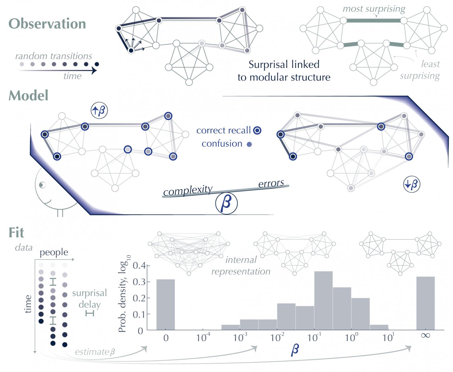 Learning networks