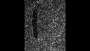 Magnetic Matrix Actuation