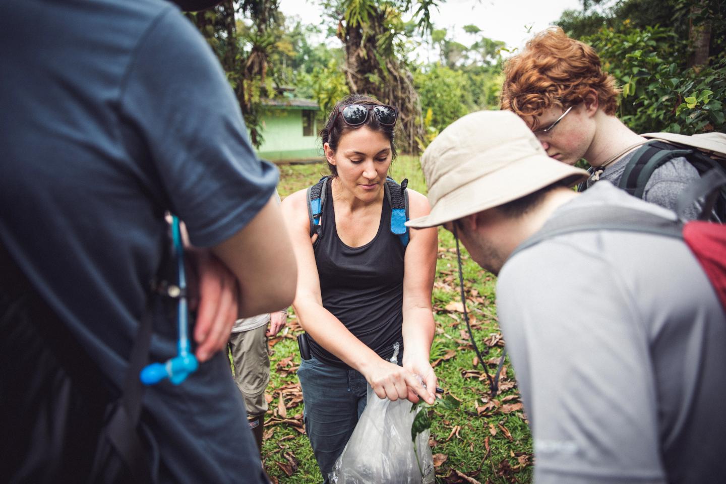 University of Nevada, Reno works with Earthwatch Volunteers to Track Insect Population Declines