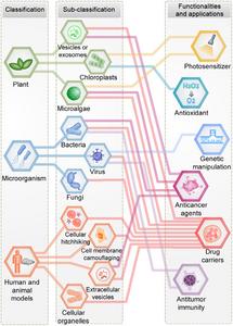 Global classification and applications of bioinspired micro- and nanostructured systems