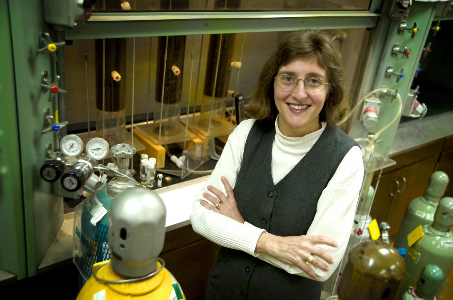 Melanie Sattler, University of Texas at Arlington