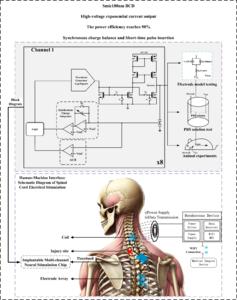 The 8-channel neural stimulation chip includes a waveform generator, high voltage output stage, and charge balancer, tested using electrode model, PBS solution, and animal, respectively. The chip features high-voltage compliance and biphasic exponentiall