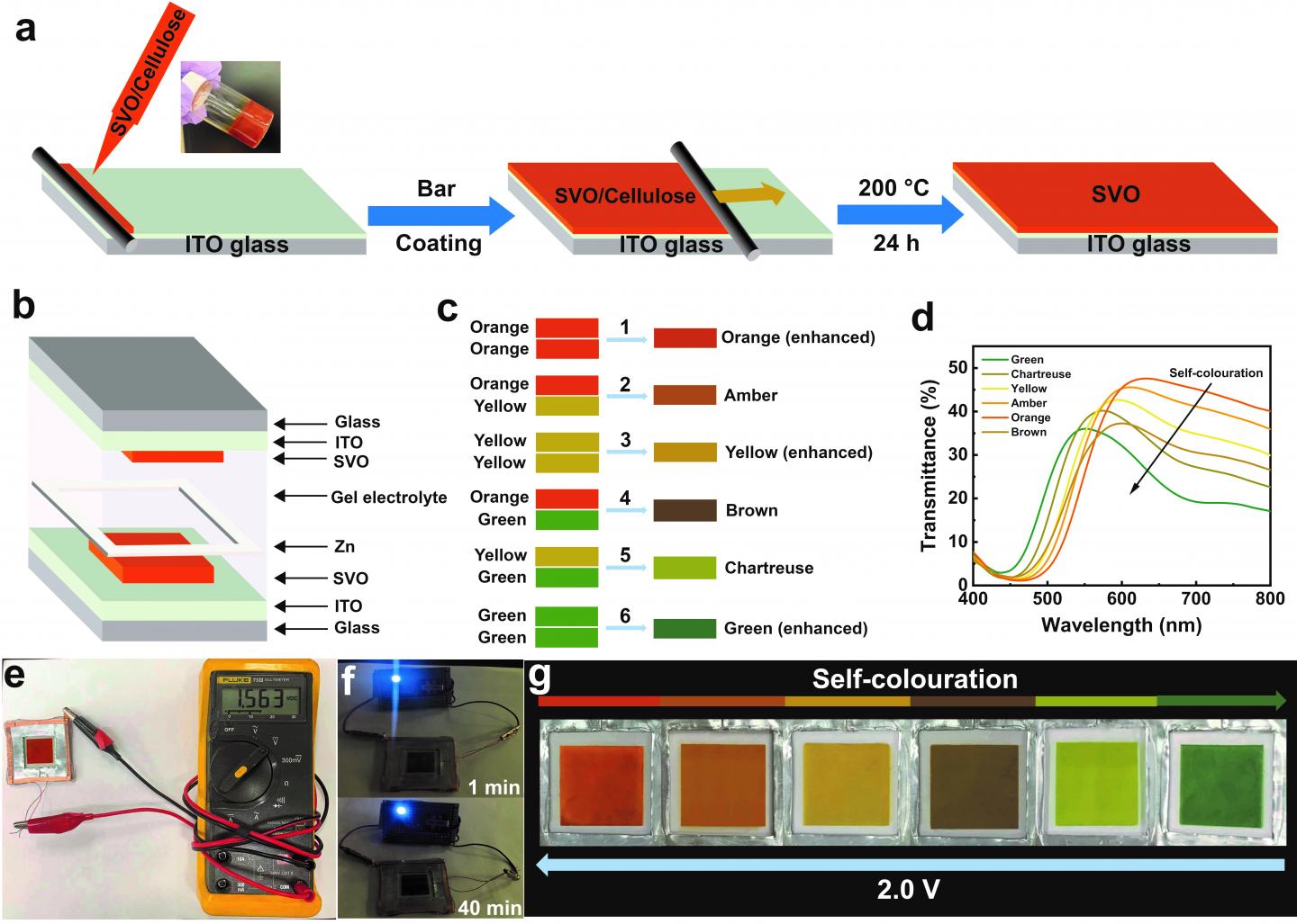 Working principle of the Zn-SVO electrochromic display