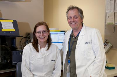 Dr. Ingela Vikstrom, David Tarlinton, Walter and Eliza Hall Institute