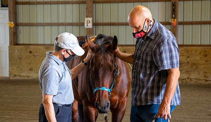 Equine therapy for PTSD