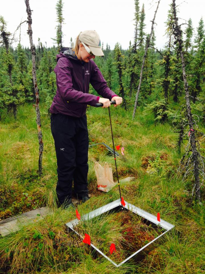 Probing Permafrost