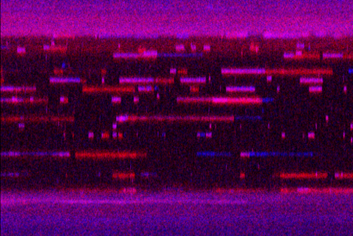 Kymograph showing repair proteins binding and unbinding to DNA