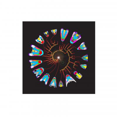 Tree-Of-Life for Early Tetrapods