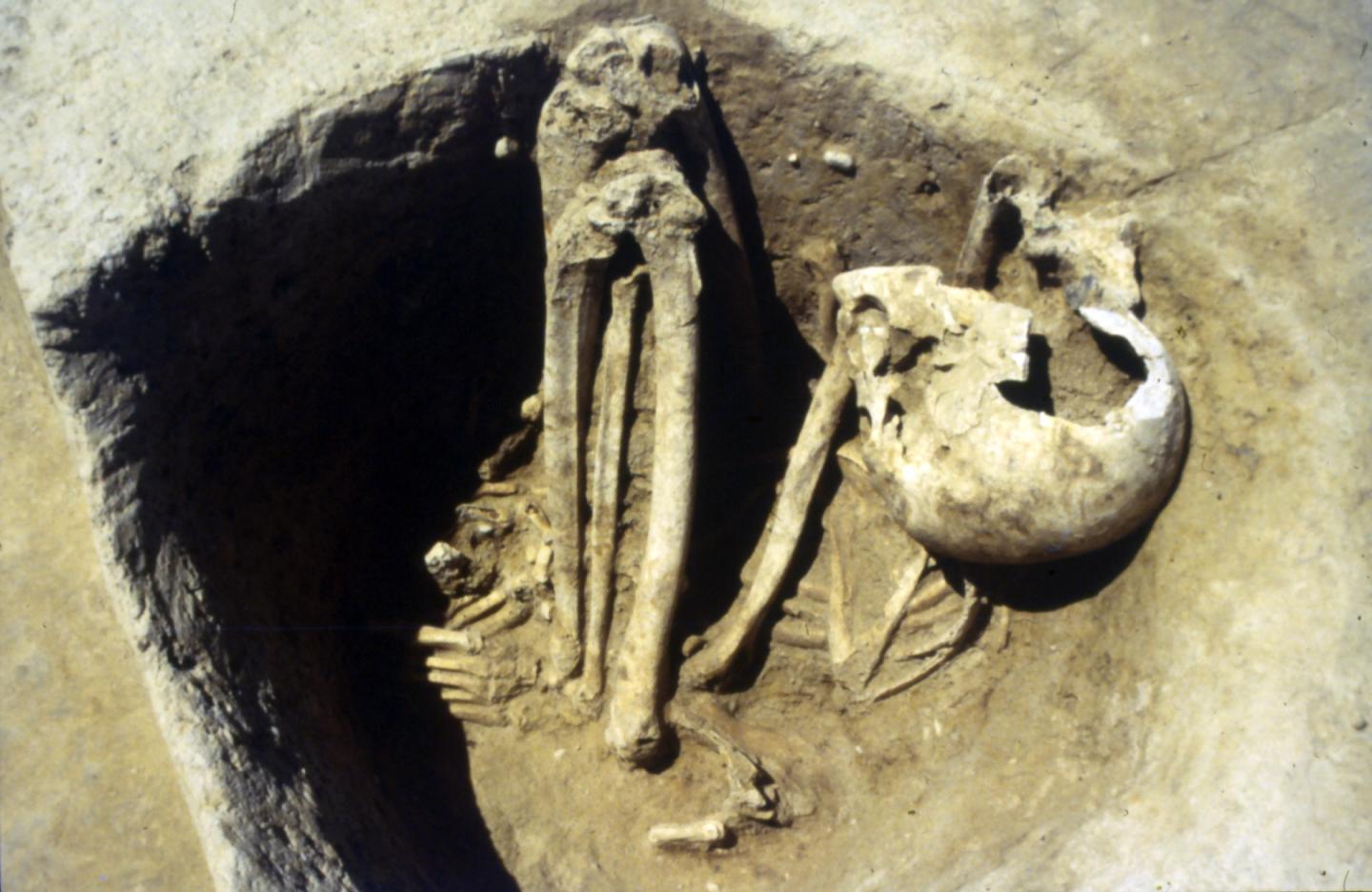 Les Closeaux at Rueil-Malmaison