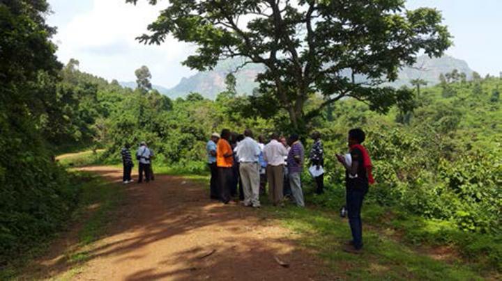 Field Testing of the App (2 of 3)