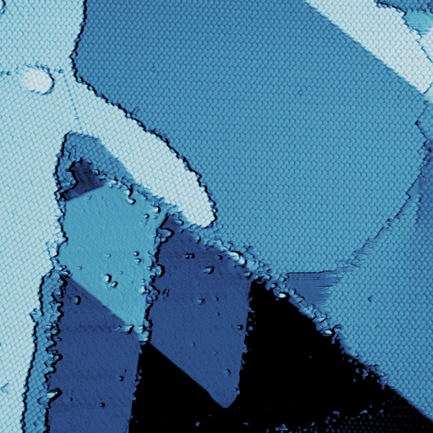 Borophene-Organic Interface