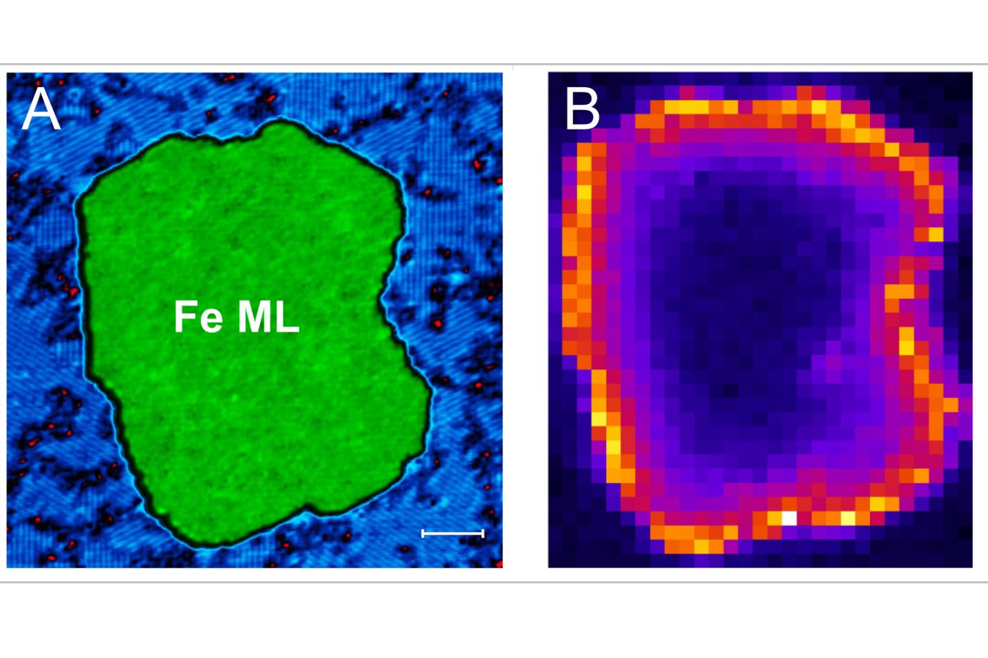 Majorana Fermion