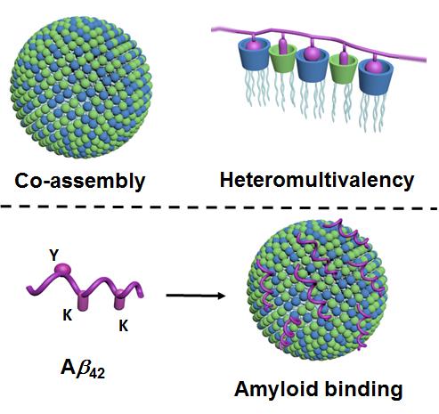 Co-assembly, Heteromultivalency and Amyloid Binding