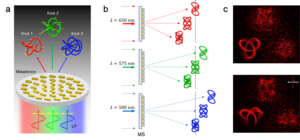 Metasurface device for generating color selective 3D polarization structures.