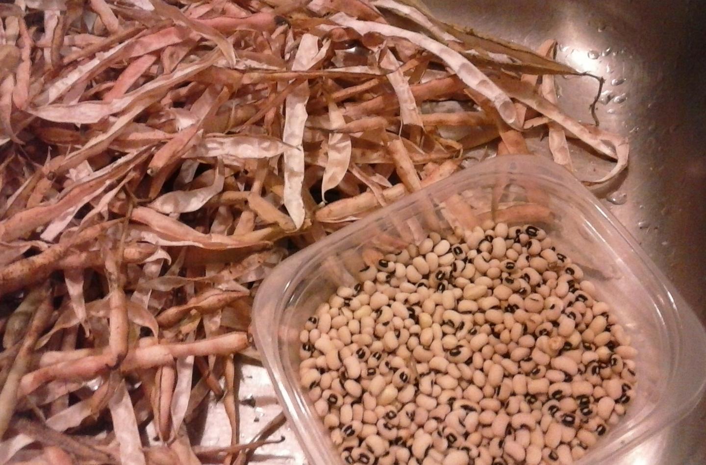 Cowpease with Husks