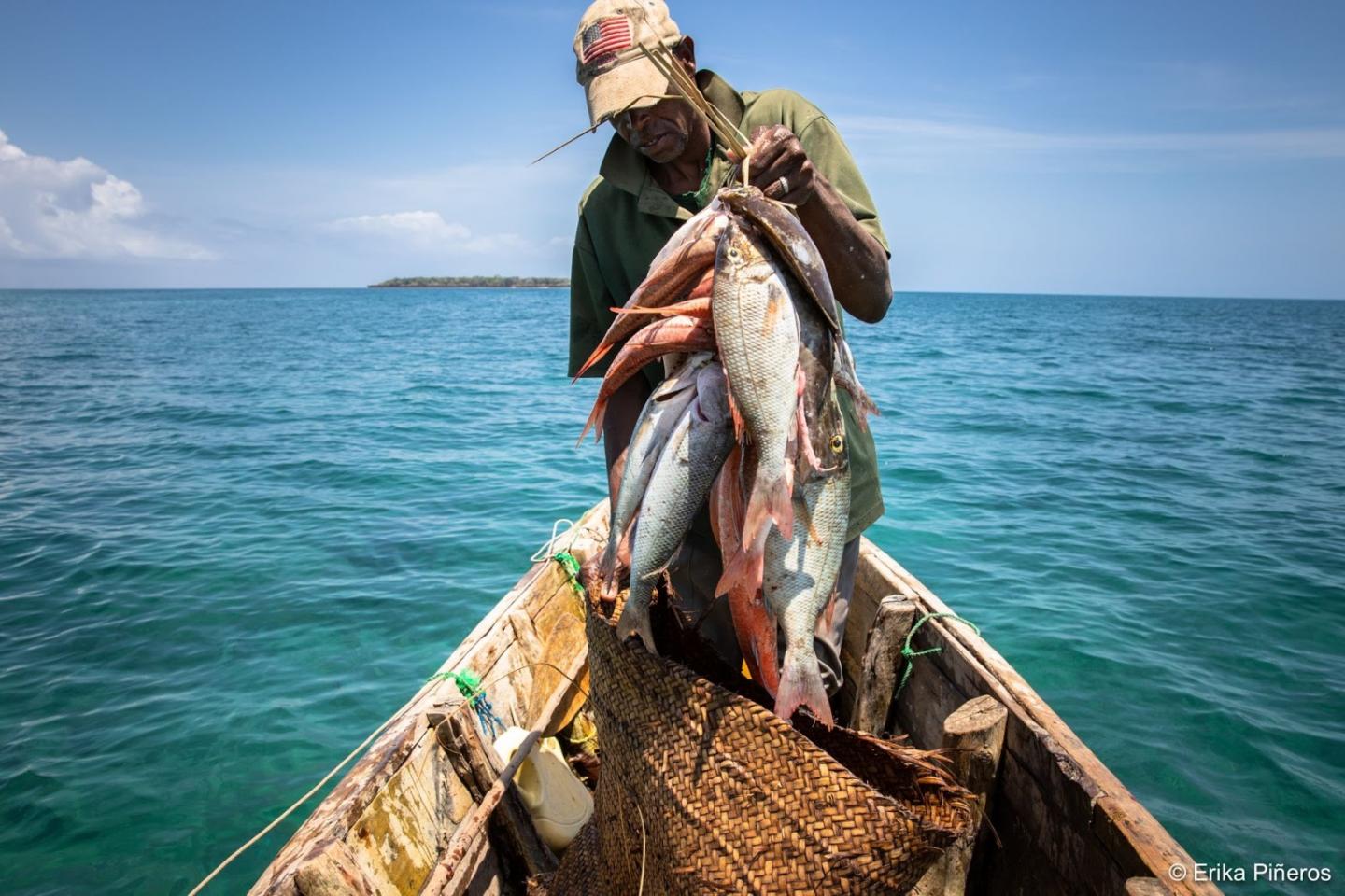 Marine fishers