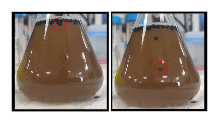 ‘BeerBots’ could speed up the brewing process