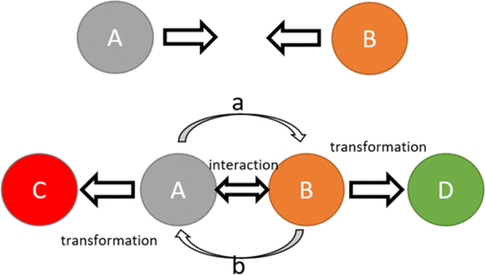 Schematic representation of an interaction-transformation principle. Upper case letters represent objects; lower case letters represent interaction/force carriers