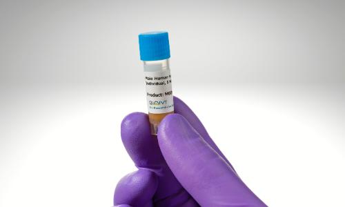 TRANSPORTER CERTIFIED hepatocytes