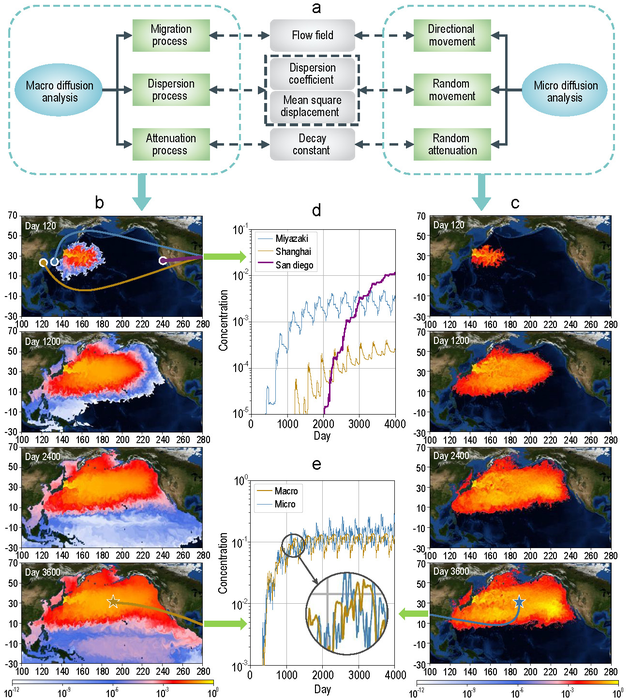 Methods and simulation results of macroscopic and microscopic diffusion analyses.