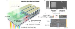 Working principle of the integrated spectrometers.