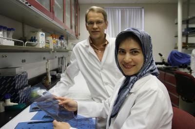 Maryam Kamali, Igor Sharakhov, Virginia Tech