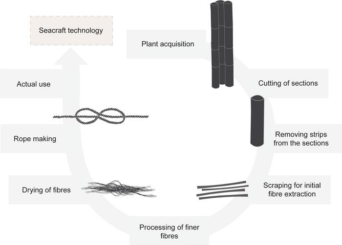 Plant-working technology in Pleistocene Wallacia